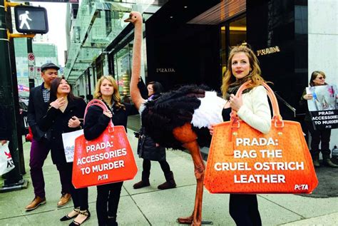 environment leather goods prada too reliant|prada ethical issues.